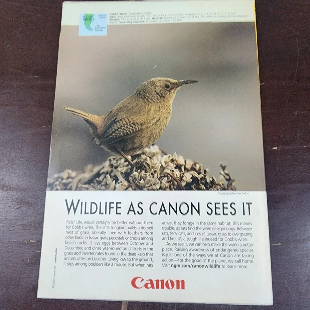 National Geographic Magazine February 2009 No Insert‎